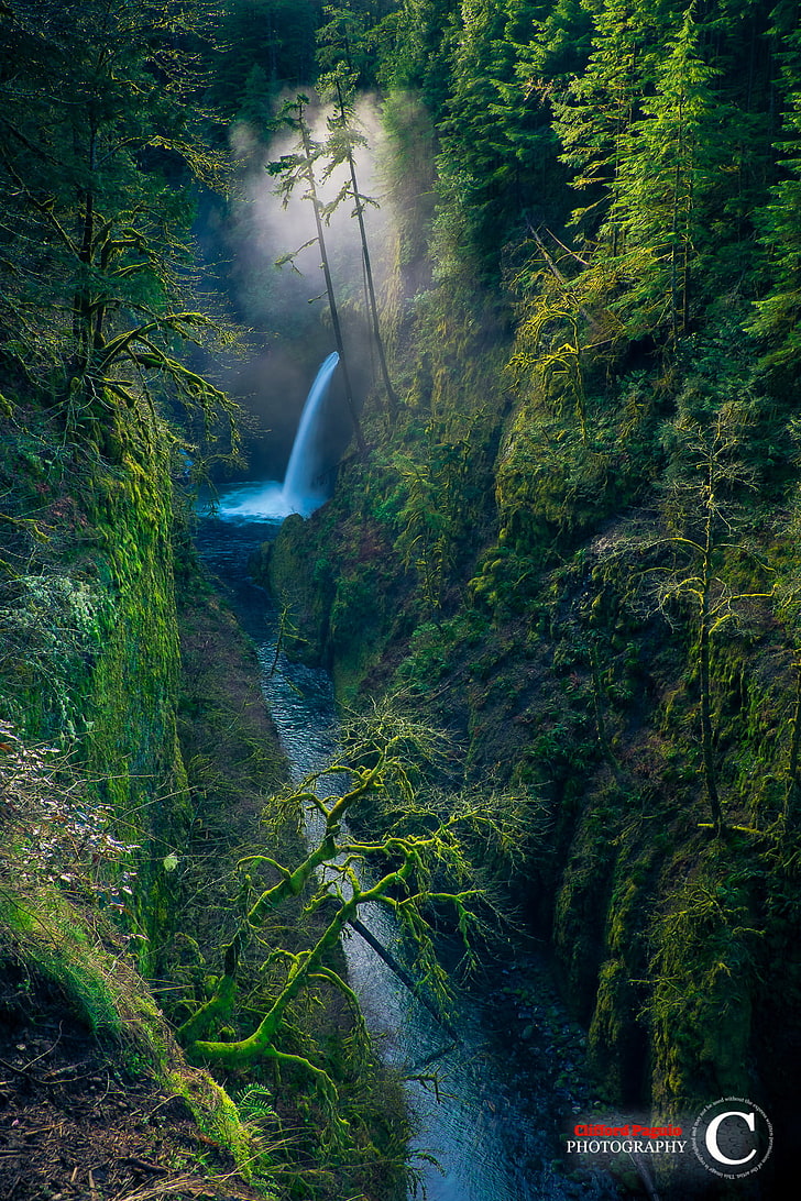 waterfall, nature, landscape, water, trees, valley, waterfall, portrait display, Clifford Paguio, forest, long exposure, moss, Oregon, USA, HD wallpaper