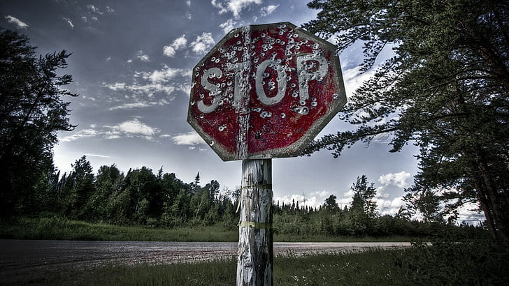 stop sign, forest, road, sign, HD wallpaper