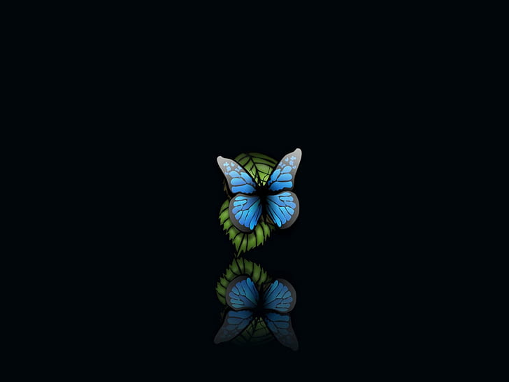 черно, синьо, пеперуда, листо, таг, HD тапет