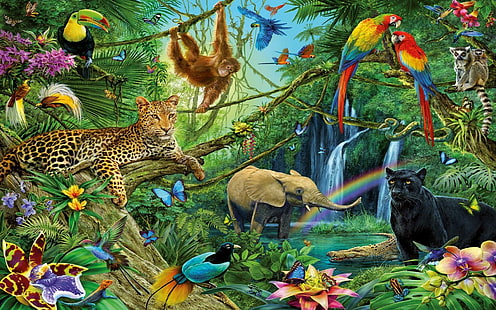Животные из джунглей леопард пума слон шимпанзе папагал тукан енот змея обои hd обои 1920 × 1200, HD обои HD wallpaper