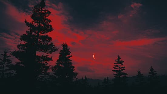 Far Cry 5, cielo rojo, bosque, juegos de PC, paisaje, noche, Fondo de pantalla HD HD wallpaper