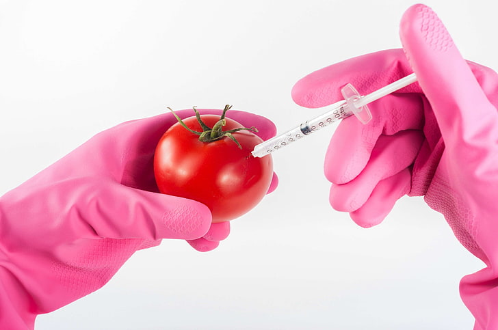 biotechnology, bright, chemical, chemistry, close up, color, concept, dna, experiment, food, fresh, gloves, hands, inject, injection, laboratory, medical, modification, needle, organic, red, research, science, syringe, HD wallpaper