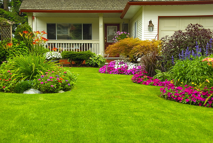zielony trawnik, zielenina, trawa, kwiaty, dom, trawnik, ogród, krzewy, cynia, petunia, Tapety HD