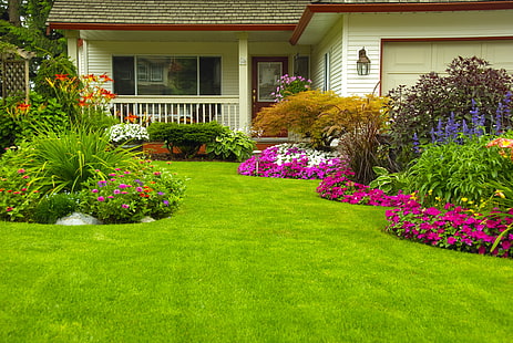 green lawn, greens, grass, flowers, house, lawn, garden, the bushes, Zinnia, Petunia, HD wallpaper HD wallpaper