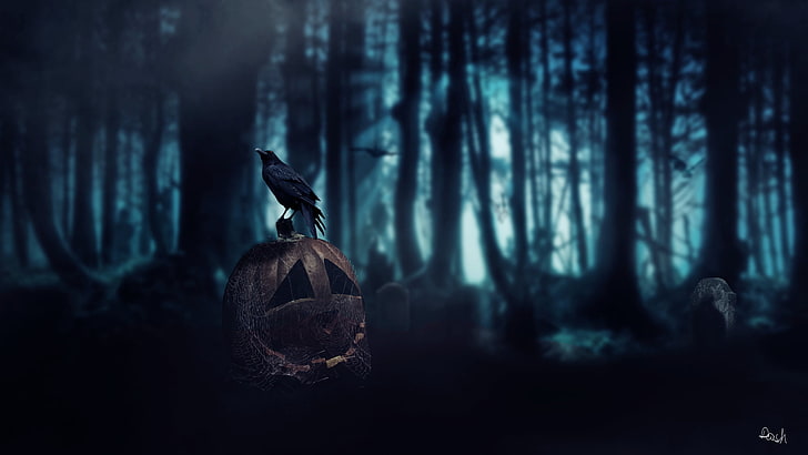 svart fågel, Halloween, pumpa, Dark Age, kråka, skog, död, HD tapet