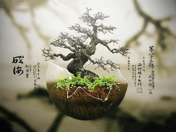 szare bonsai, bonsai, rośliny, typografia, sztuka cyfrowa, drzewa, Japonia, Tapety HD