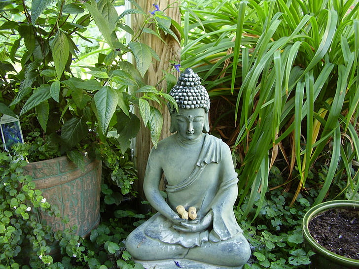 Buda no pátio, buda, pátio, verde, flores, 3d e abstrato, HD papel de parede
