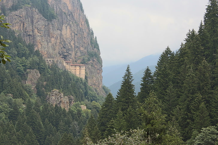 pine trees, Trabzon, Turkey, nature, green, trees, Sumela, Panagia Sumela, trabzonspor, HD wallpaper