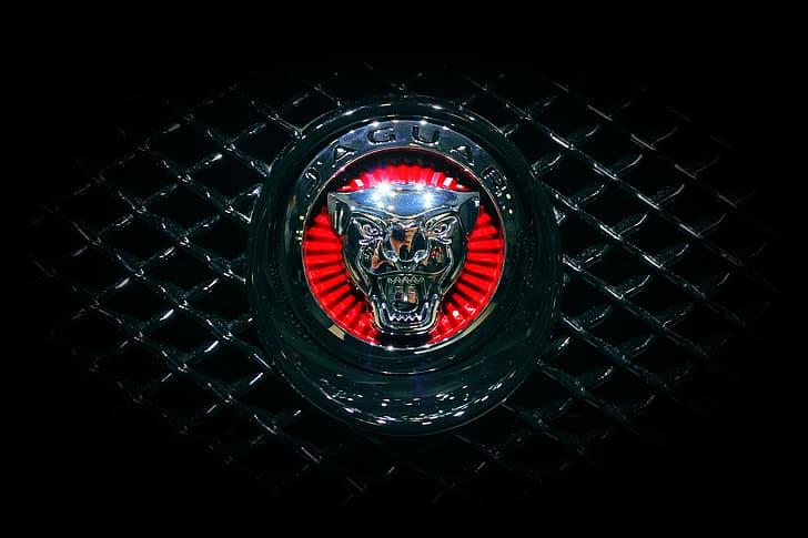 Jaguar, Machine, Grille, Emblem, Logo, Radiator, HD wallpaper