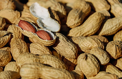 Haufen von Erdnüssen, Nüssen, Muscheln, reif, HD-Hintergrundbild HD wallpaper