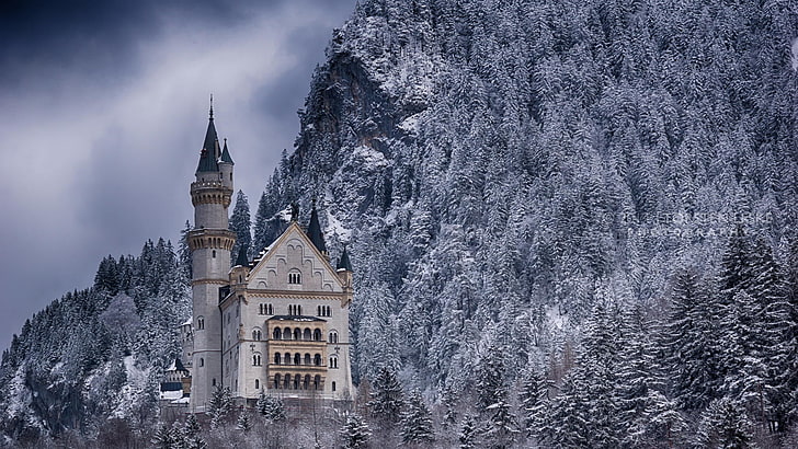 castillo gris y azul, naturaleza, paisaje, invierno, nieve, arquitectura, castillo, torre, árboles, bosque, roca, castillo de Neuschwanstein, Alemania, montañas, Fondo de pantalla HD