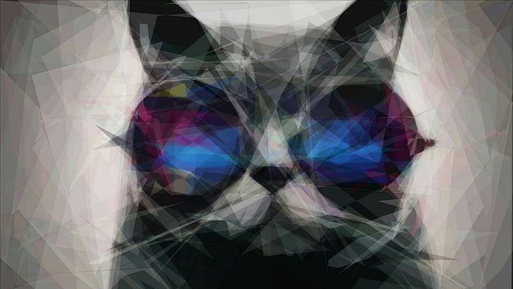 kedi, güneş gözlüğü, tasarım, sanat, grafik tasarım, modern sanat, grafik, illüstrasyon, HD masaüstü duvar kağıdı