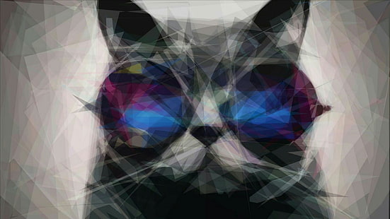 katt, solglasögon, design, konst, grafisk design, modern konst, grafik, illustration, HD tapet HD wallpaper