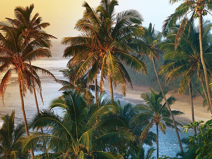 pantai, hawai, kauai, Wallpaper HD