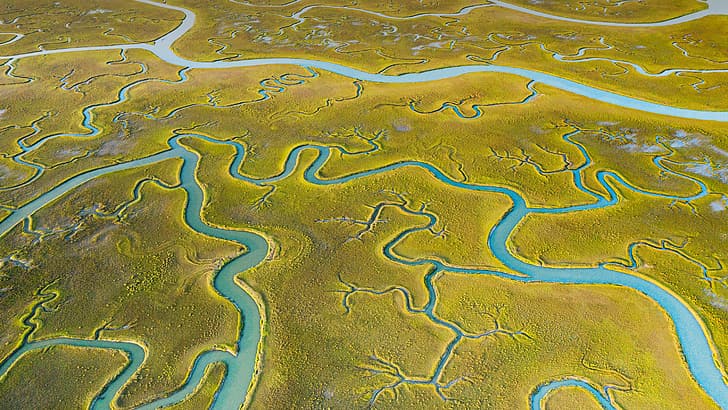 Mockhorn Island, nature, landscape, river, Virginia, USA, HD wallpaper