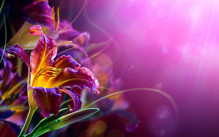 gráficos de flores de pétalos de color púrpura y amarillo, flores, lirios, bokeh, fondo púrpura, Fondo de pantalla HD