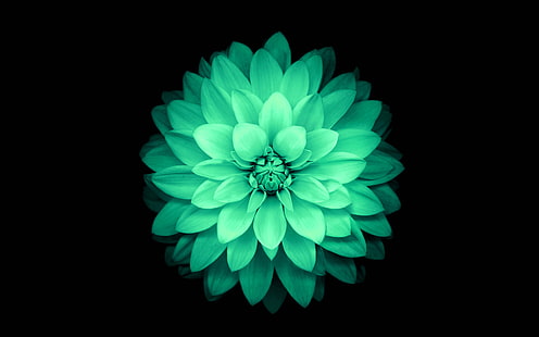 apfel, grün, lotus, iphone6, plus, ios8, blume, HD-Hintergrundbild HD wallpaper