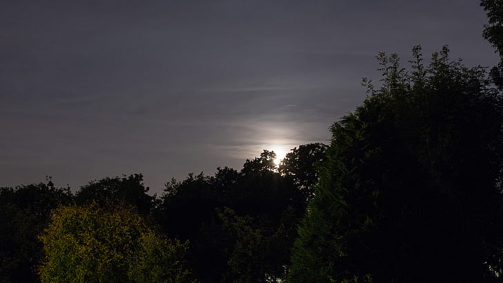 пейзаж, ночь, луна, HD обои