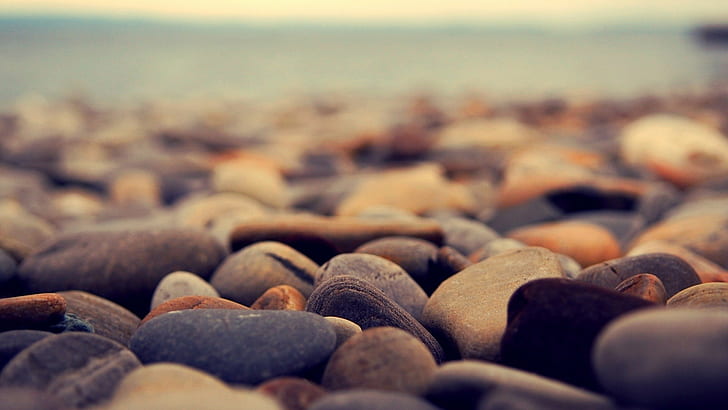 depth of field, stones, rock, beach, landscape, pebbles, nature, blurred, HD wallpaper