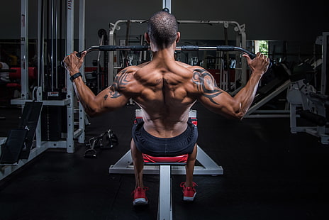 graue und schwarze Trainingsgeräte, Mann, Rücken, Training, Bodybuilding, HD-Hintergrundbild HD wallpaper