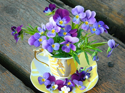 写真、静物、花、パンジー、紫色の花、茶cup、 HDデスクトップの壁紙 HD wallpaper