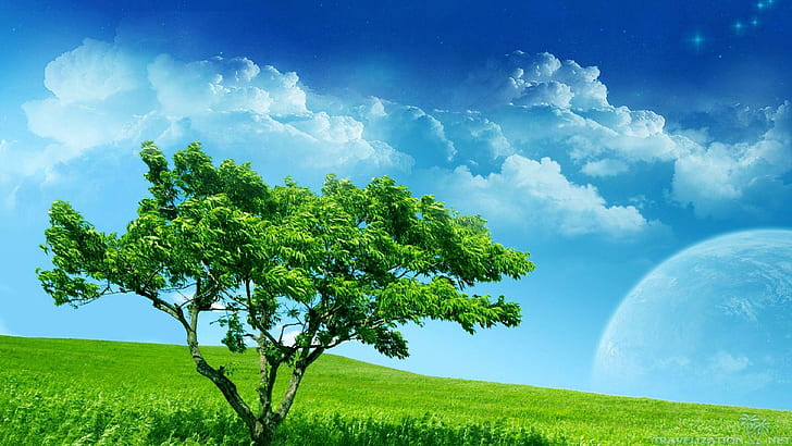 Cool Scenery, peace, cloud, nature, grass, tree, moon, nature and landscapes, HD wallpaper