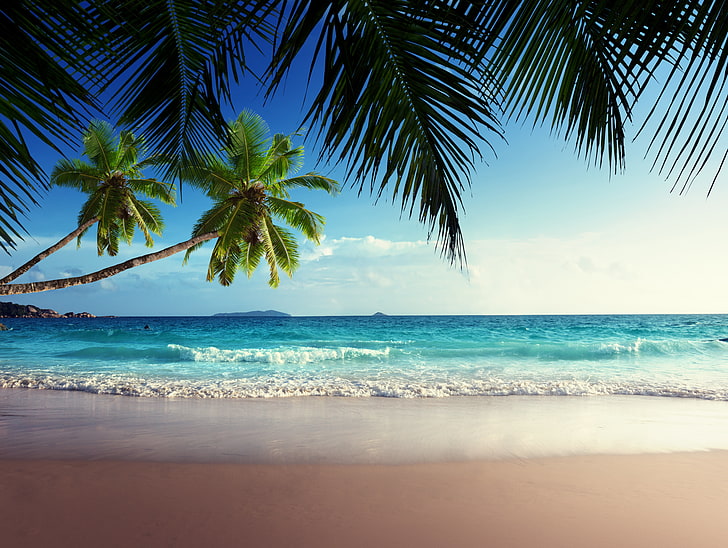 palmer på stranden, sand, hav, strand, himlen, solen, tropikerna, palmer, havet, strand, sommar, solsken, himmel, hav, kust, blå, paradis, semester, tropisk, palm, smaragd, HD tapet
