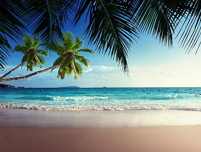 palmy na lądzie, piasek, morze, plaża, niebo, słońce, tropiki, palmy, ocean, brzeg, lato, słońce, niebo, ocean, wybrzeże, niebieski, raj, wakacje, tropikalny, palma, szmaragd, Tapety HD HD wallpaper