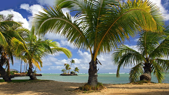 شاطئ هاواي الحدائق الاستوائية أواهو 1920x1080 Nature Beaches HD Art، beach، Hawaii، خلفية HD HD wallpaper