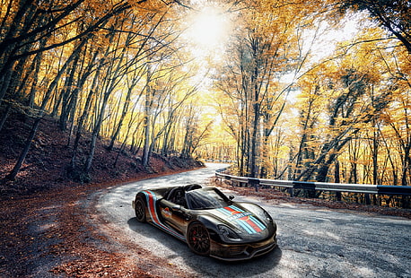  Porsche, Spyder, 918, Autumn, Martini, VAG, HD wallpaper HD wallpaper