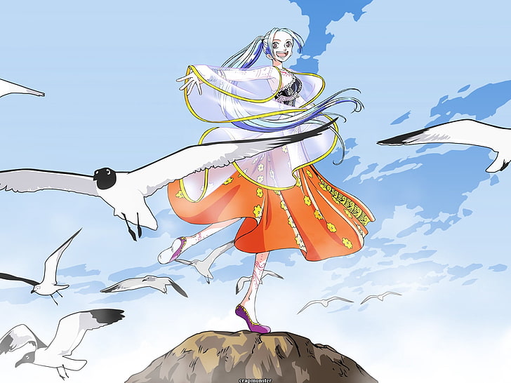 Ilustración One Piece Nefertari Vivi, niña, delicia, pájaros, gaviotas, postura, libertad, Fondo de pantalla HD