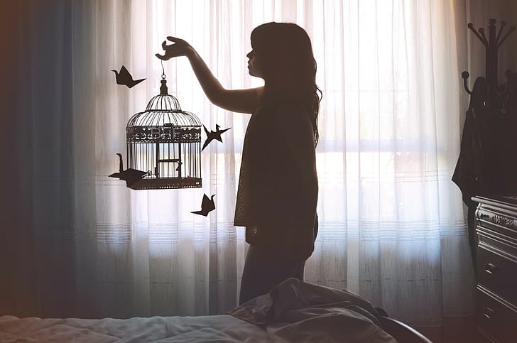 birdcage, window, model, women, HD wallpaper