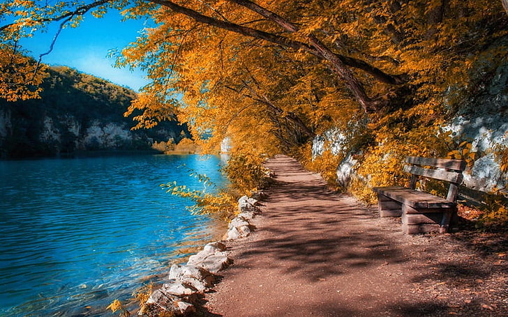 brown tree, brown trees at pathway near river during daytime, landscape, nature, fall, path, river, Plitvice National Park, Croatia, bench, trees, blue, water, yellow, HD wallpaper