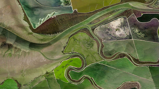 nature, landscape, aerial view, river, field, dirt road, lines, green, HD wallpaper HD wallpaper