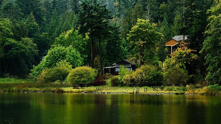 House Trees Lake HD, green forest, nature, trees, lake, house, HD wallpaper