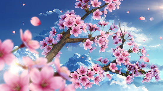 cherry blossom, scenic, petals, sky, sakura, Anime, HD wallpaper HD wallpaper