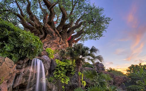  trees, Park, waterfall, FL, Florida, Disney world, Disney's Animal Kingdom, Walt Disney World Resort, HD wallpaper HD wallpaper