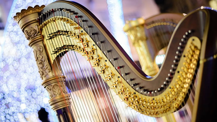 Instrument Harp Symphony, music, bokeh, blurring, ., shot, instrument, musical, harp, strings, the oldest, happened, from the bow, stretched the strings, which, melodically, sounded, live, sound, Symphony, concert, HD wallpaper