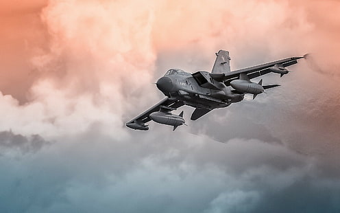 Panavia Tornado, myśliwiec odrzutowy, samolot, samoloty, samoloty wojskowe, pojazd, Tapety HD HD wallpaper