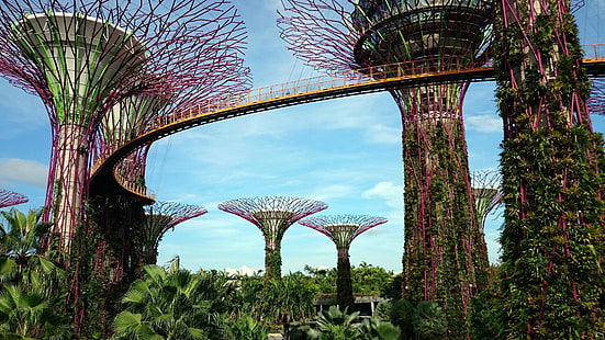 singapur, marina bay, bahçe, bahçeler, supertree korusu, bay bahçeleri, asya, supertree, HD masaüstü duvar kağıdı HD wallpaper