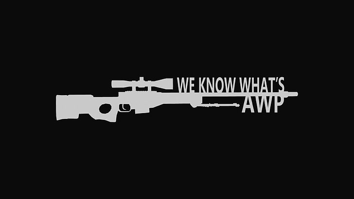 fucile da caccia grigio con sovrapposizione di testo, awp, fucile di precisione, go cs, lunga distanza, Sfondo HD