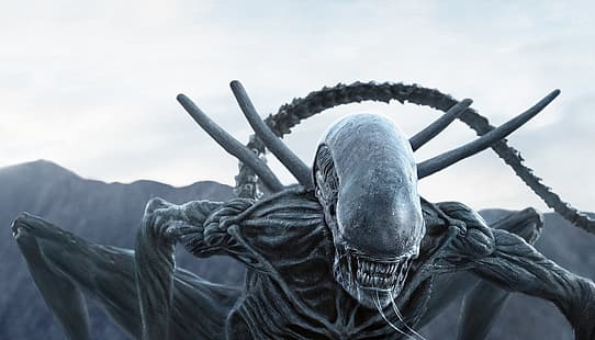 Alien (Creature), 영화, ALIEN UNIVERSE, Alien: Covenant, 공상 과학, 공포, 생물, Xenomorph, 영화 장면, HD 배경 화면 HD wallpaper
