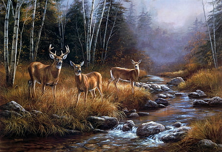 Animal, Deer, Fall, Stag, Stream, Wildlife, HD wallpaper HD wallpaper