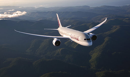 Avions, Boeing 787, Qatar Airway, Fond d'écran HD HD wallpaper
