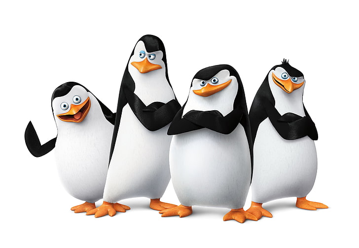 penguin madagaskar, Wallpaper HD
