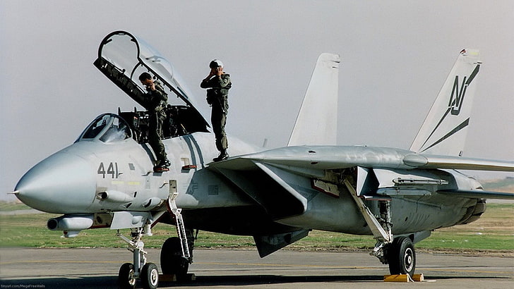 Düsenjäger, Grumman F-14 Tomcat, HD-Hintergrundbild