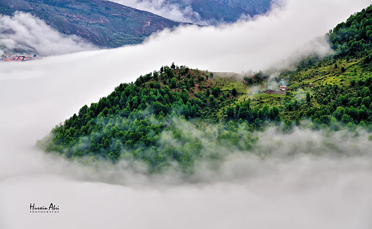 Filband村、緑の木、自然、風景、上、山、森林、村、霧、霧、イラン、 HDデスクトップの壁紙