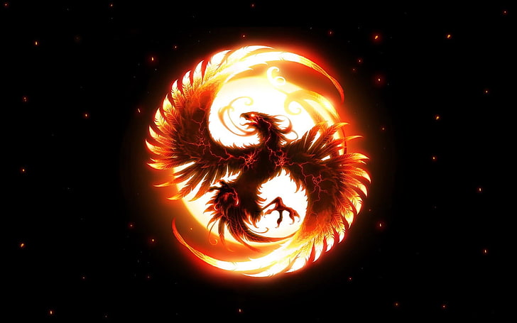 черно-оранжевая птица логотип, феникс, птица, шар, перья, свет, HD обои