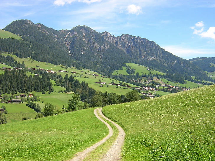 草覆われた青い空の下の山、パス、草、覆われた、青い空、空オーストリア、アルプバッハ、緑の山々、フィールド、山、自然、夏、ヨーロッパアルプス、風景、森、屋外、緑の色、草原、木、ヨーロッパ、風景、丘、空、青、 HDデスクトップの壁紙