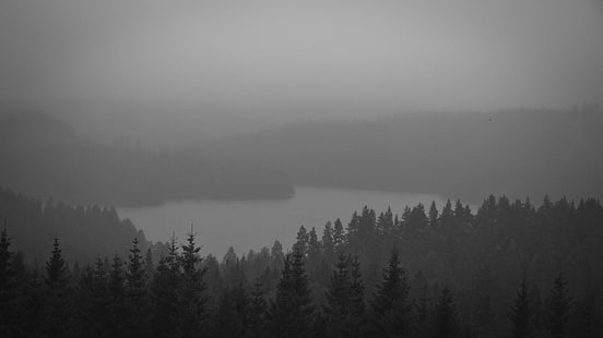 svartvitt, skog, sjö, dimma, HD tapet HD wallpaper